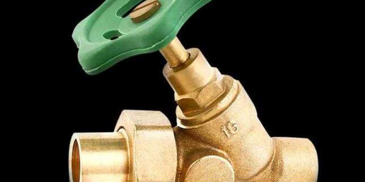 Enhancing Fluid Control: The Role Of Check Valve With Spring And Y-Type Stop Globe Valve