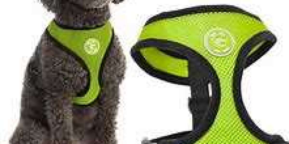 A Comprehensive Guide to Harness Training with Mesh Dog Harness for Mastering Control and Comfort
