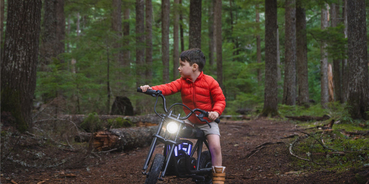 Unleash the Adventure: Exploring the HYPER GOGO Cruiser 12 Plus Kids Motorcycle