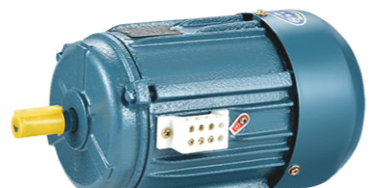 Multi-Speed Induction Motors: A Versatile Solution for Diverse Applications