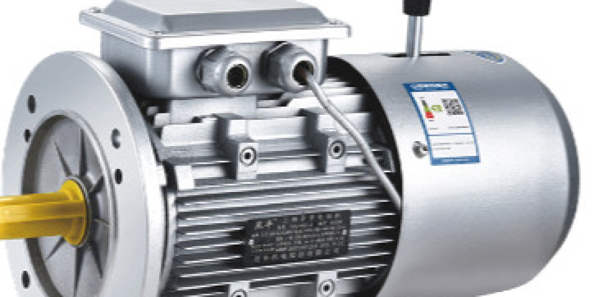Multi Speed AC Motor: Enhancing Efficiency and Adaptability in Industrial Applications