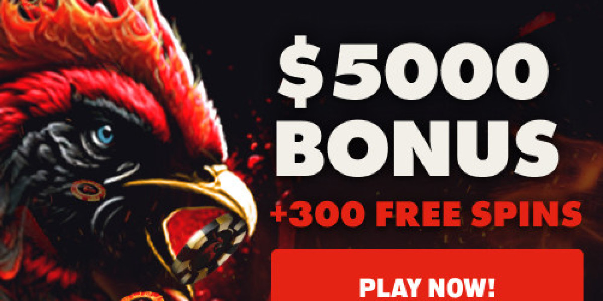 How Rooster Bet Is Making Waves in the Online Gambling World