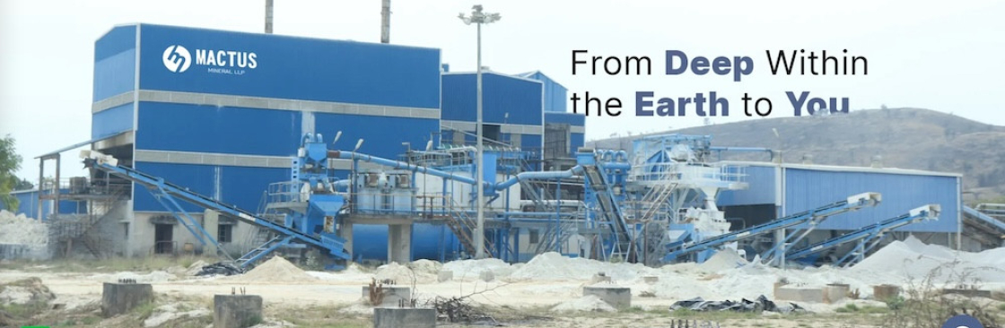 Mactus Mineral LLP Cover Image