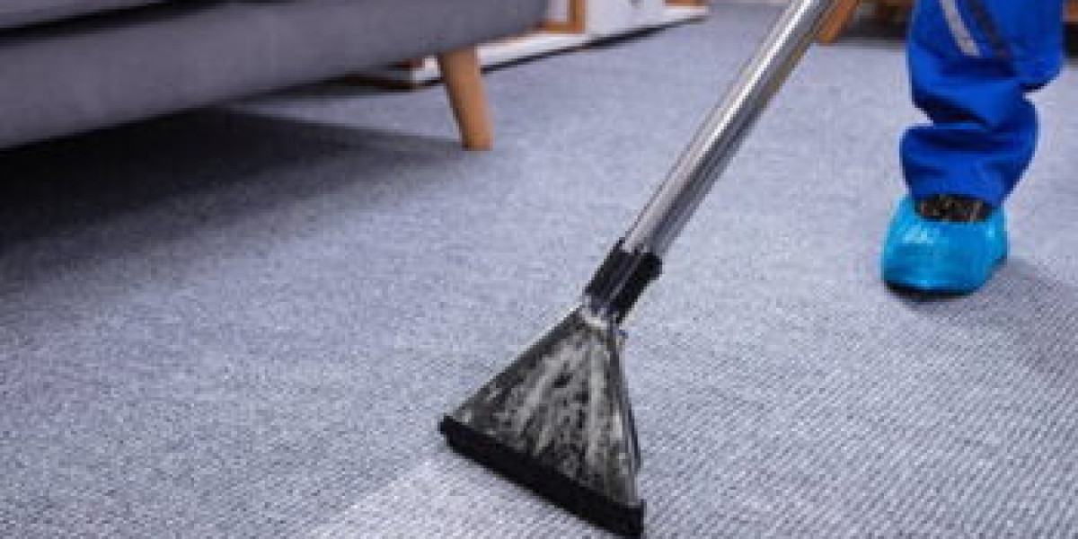 Carpet Cleaning Services That Restore Carpets Damaged through Pets