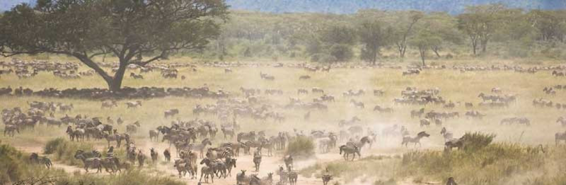 Kimgoni Tanzania Safaris Cover Image
