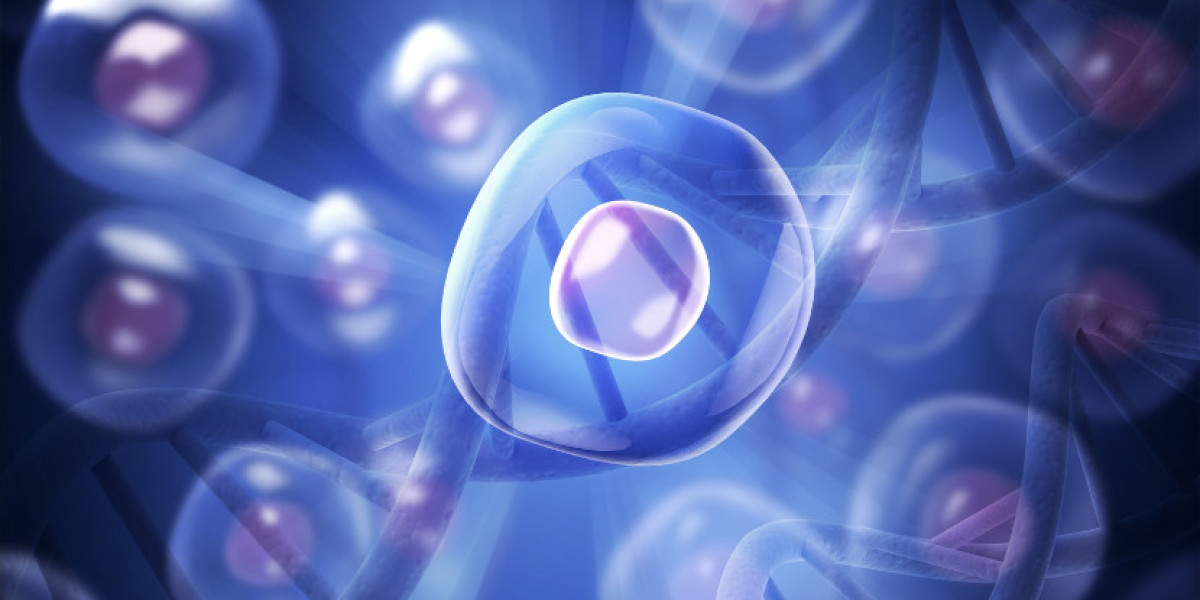 Primary Cells Market Size, Trends & Forecast 2034