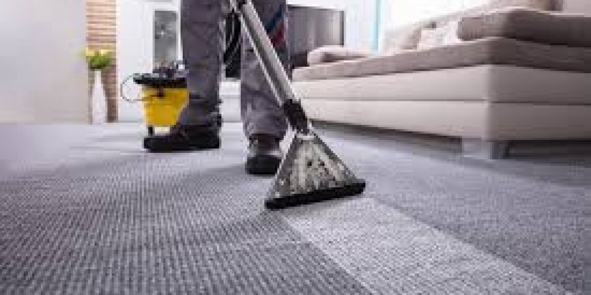 Fully Insured Carpet Cleaning Services You Can Trust