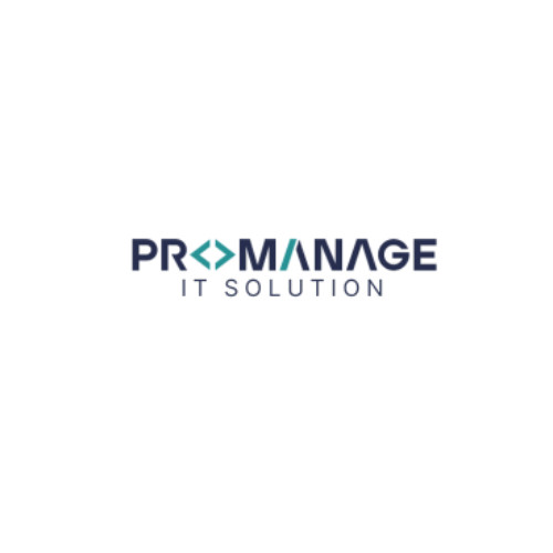 PROMANGE IT SOULTION IT SOULTION Profile Picture