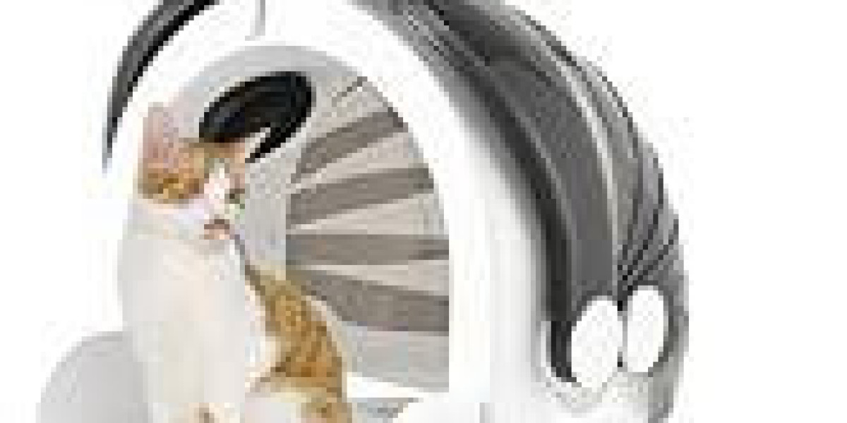Pawtechpet Pet Dryer: Efficient and Gentle Grooming