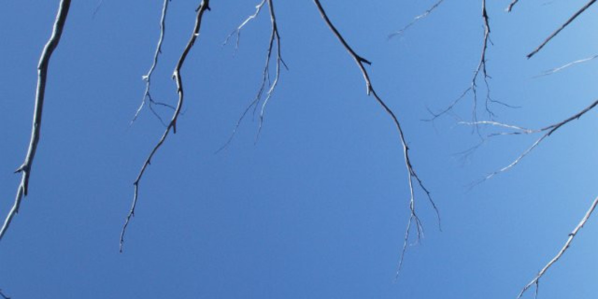 Wachstumshormon – Growth Hormone (GH)