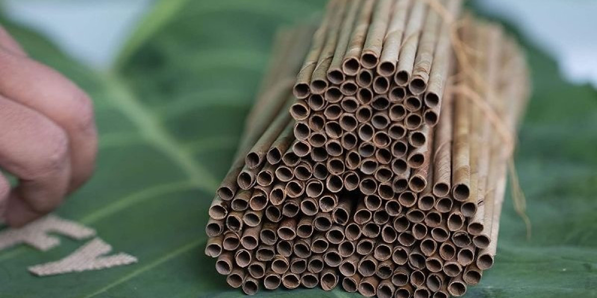 Capital Costs Involved in Setting Up a Dry Coconut Leaves Based Biodegradable Straw Manufacturing Plant