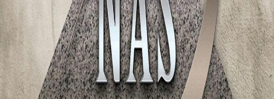 North American Stone Cover Image