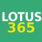 Lotus365 Official Profile Picture