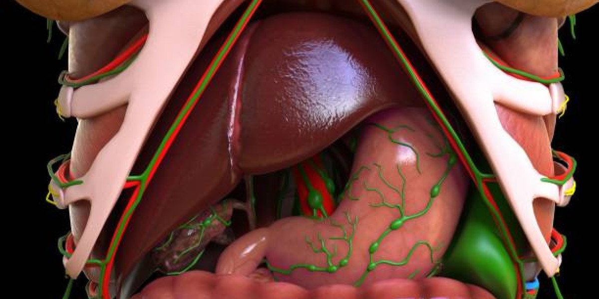 Biliary Tract and Liver Surgery in Dubai for Bile Duct Issues