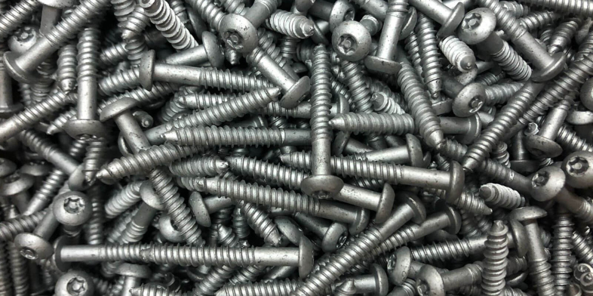 Best Anti Theft Screws for Licence Plates in 2025