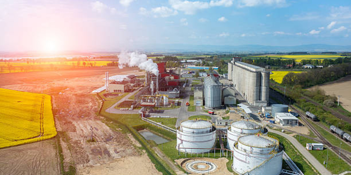 Biofuel Production Plant Setup | Project Report 2025, Machinery Cost and Business Plan