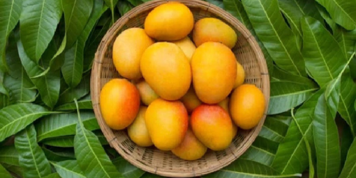India Mango Shipment Data: Export Insights for Businesses