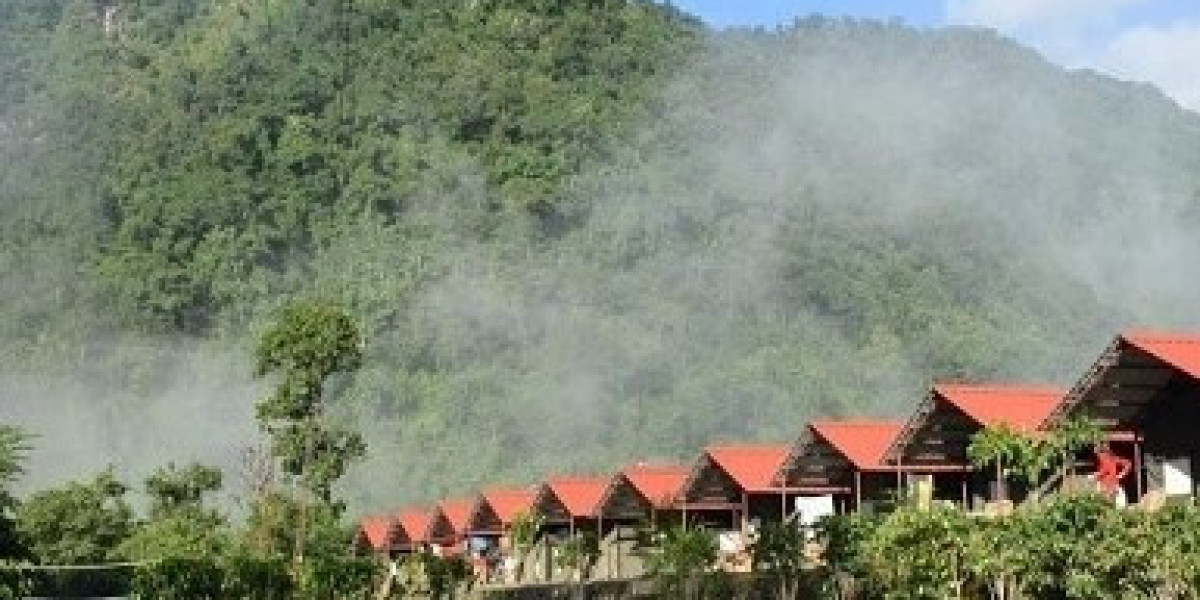 Camping in Rishikesh