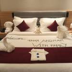 White Ibis Profile Picture