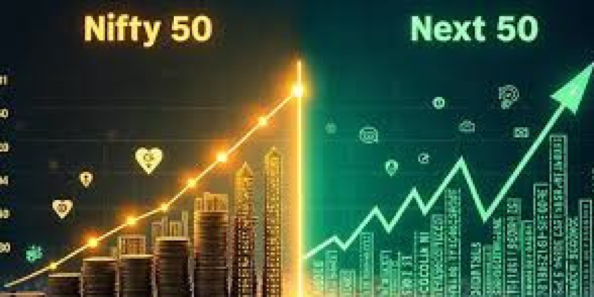 Nifty Next 50 Index Fund: The Bridge Between Growth and Stability