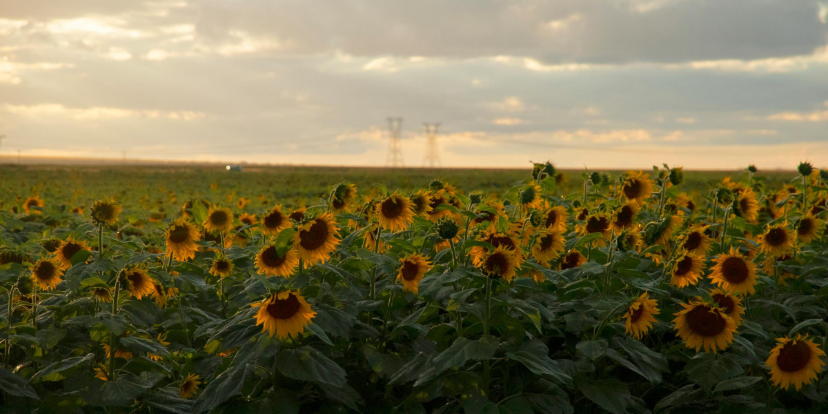 u4gm Guide: Top Uses of the Divine Orb