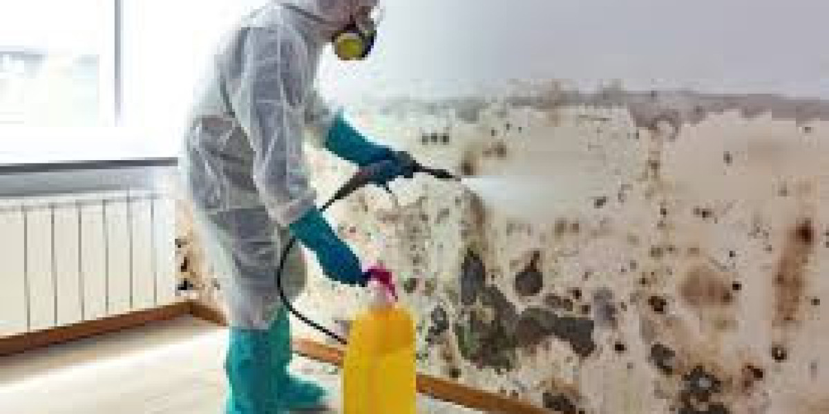 Hazmat House Cleaning: Ensuring a Safe and Healthy Home Environment