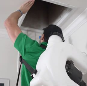 soba26 ali Profile Picture