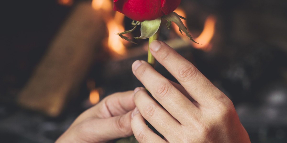 Found my perfect RPG partner in a competitive lobby!!