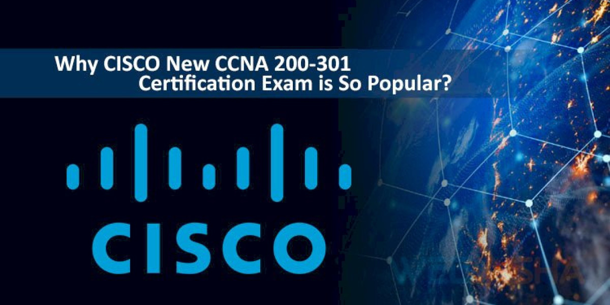 CCNA Classes in Pune That Shape You into a Confident Network Professional