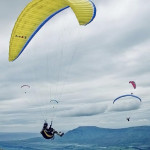 flysahyadri Profile Picture