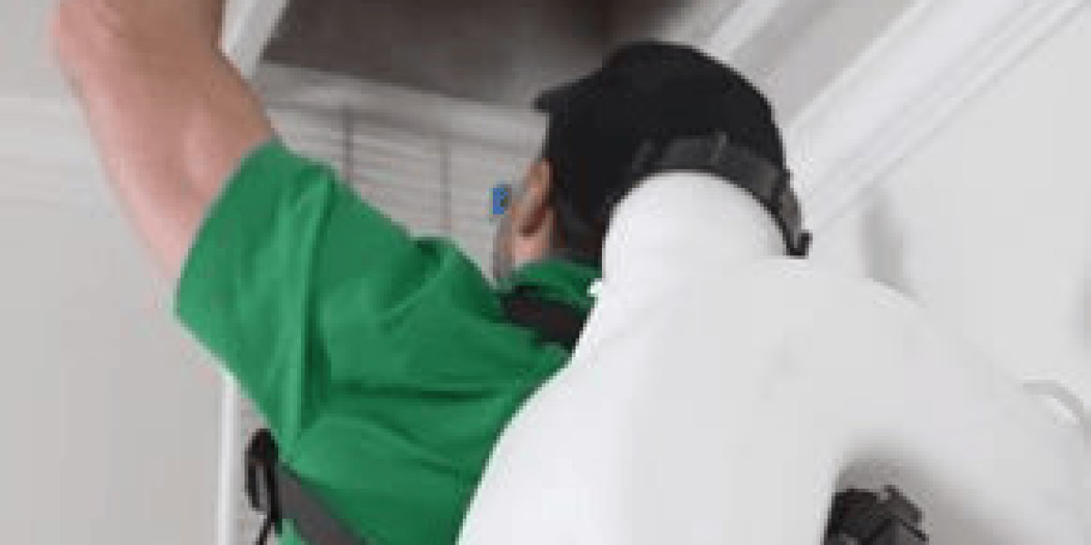 “Why the Crawl Space Encapsulation Market Is Booming Worldwide”