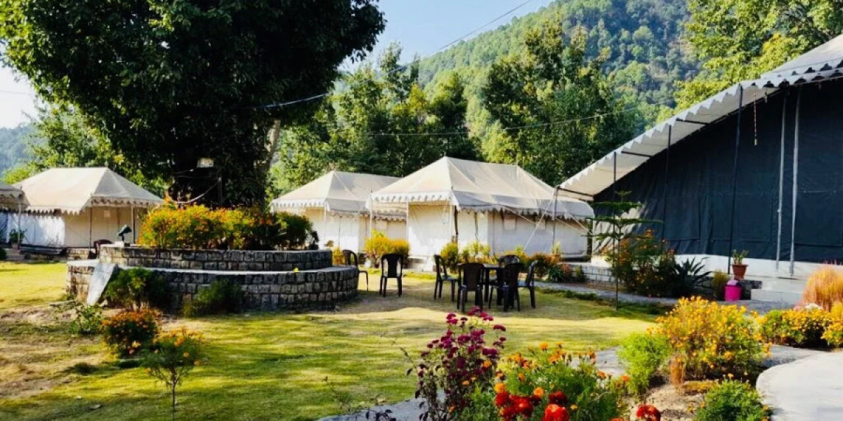 Affordable Resorts In Palampur Near Tea Gardens & Hills