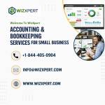 Wizxpert Outsourced Accounting Services for your Business profile picture