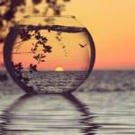 aliza zahid Profile Picture