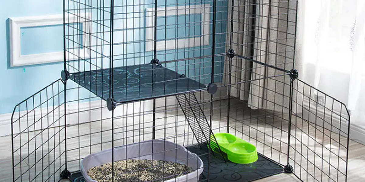 Meeting Airline Standards While Keeping Pets Comfortable in the Cabin