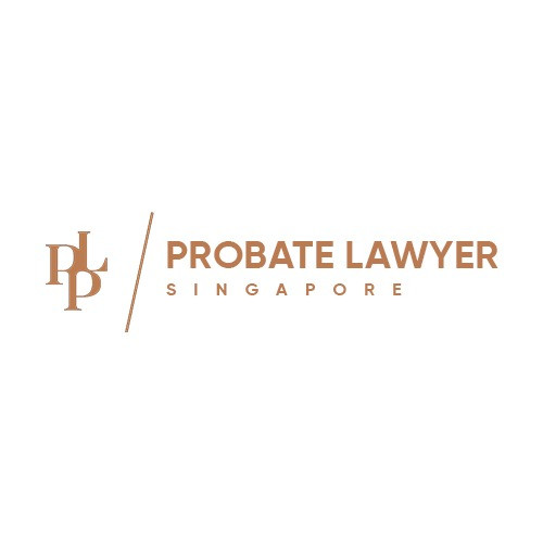 Singapore probate Lawyer Profile Picture