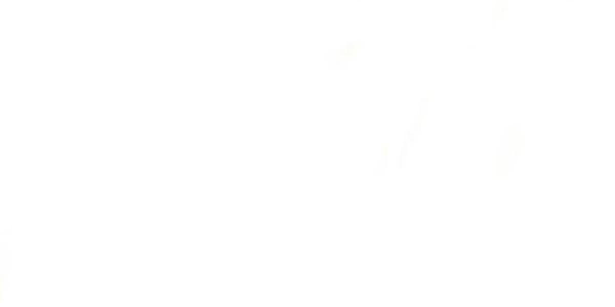 Elevate Wedding Celebrations with Custom Wine Elegance in Australia