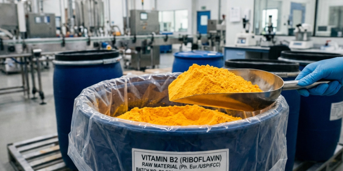 Understanding the Vitamin B2 Price Trend in the Global Nutraceutical and Pharmaceutical Market