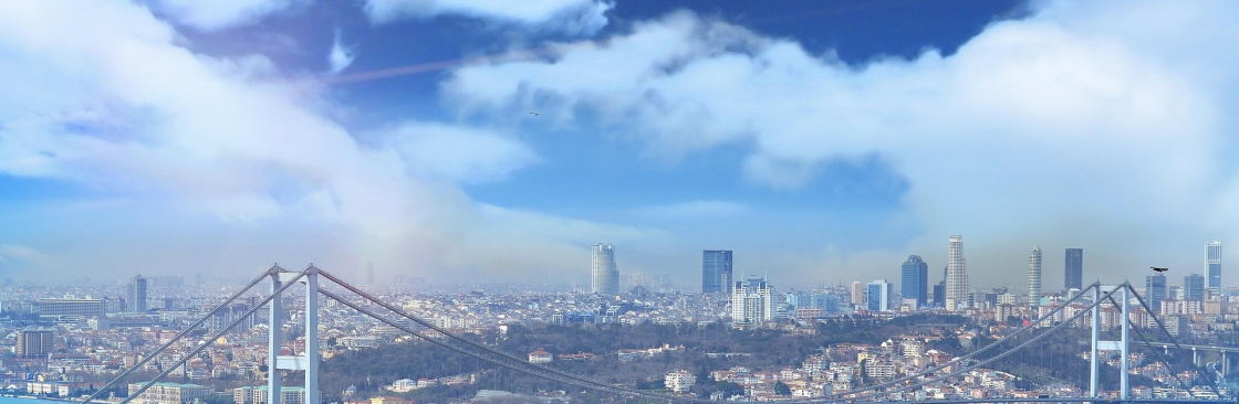 Rent a Car with Driver in Turkey Cover Image