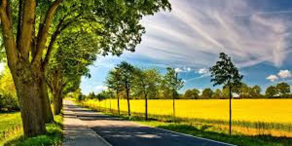 CDG Comme des Garçons: A Complete Guide to Iconic Streetwear and Timeless Style