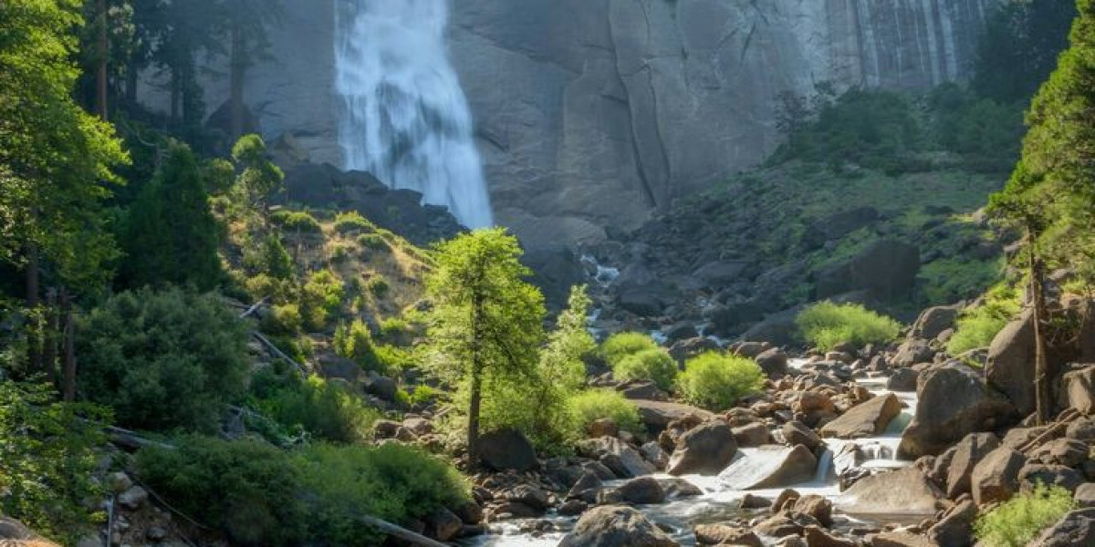 Planning a Trip to Yosemite: Complete Step Guide