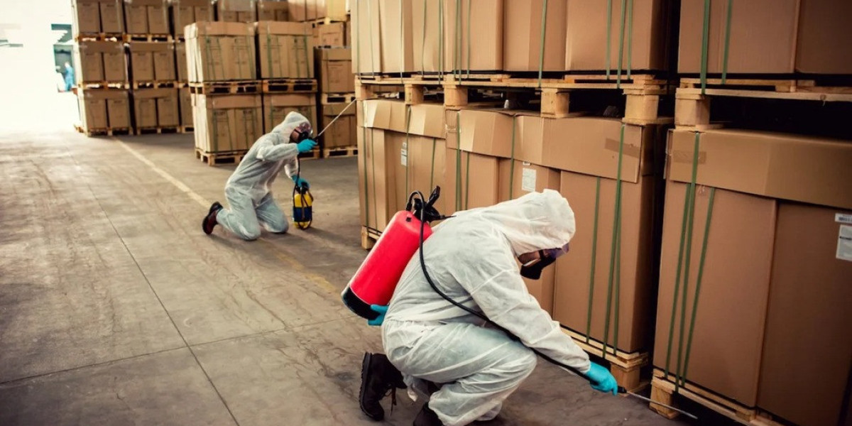 Protecting Your Business with Reliable Commercial Pest Control on the Gold Coast