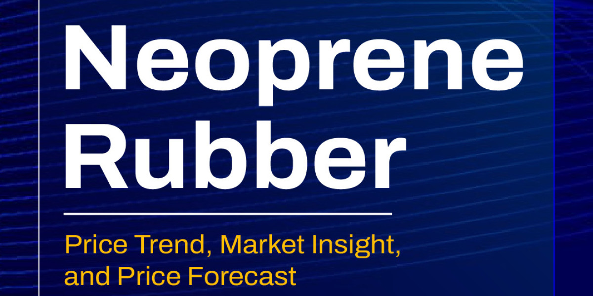 Neoprene Rubber Prices in Q3 2025: A Simple Market Overview