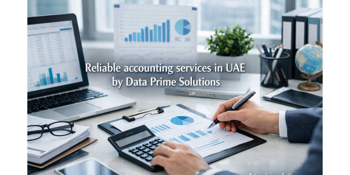 Why Are Professional Accounting Services Vital for Growth