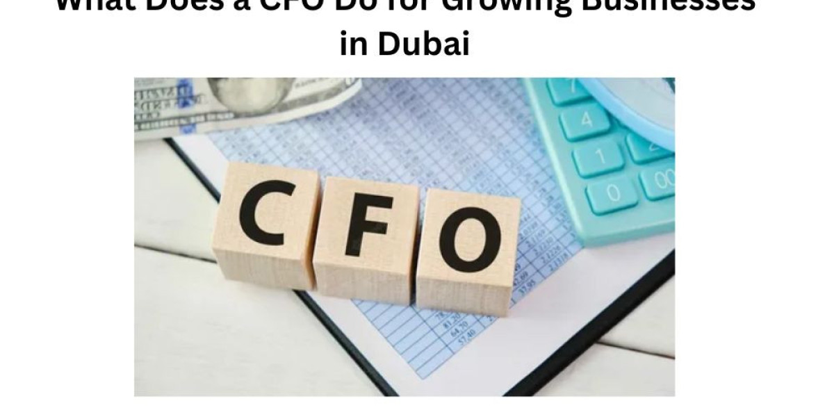 What Does a CFO Do for Growing Businesses in Dubai