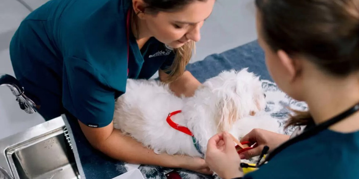 Understanding TPLO Surgery for Dogs with Cruciate Ligament Damage