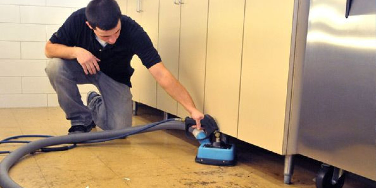 DIY Carpet Cleaning Tips for San Diego Residents