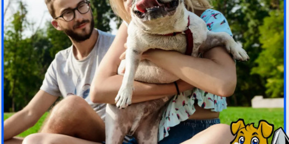 Reliable Dog Poop Pickup in DFW for Clean & Safe Yards