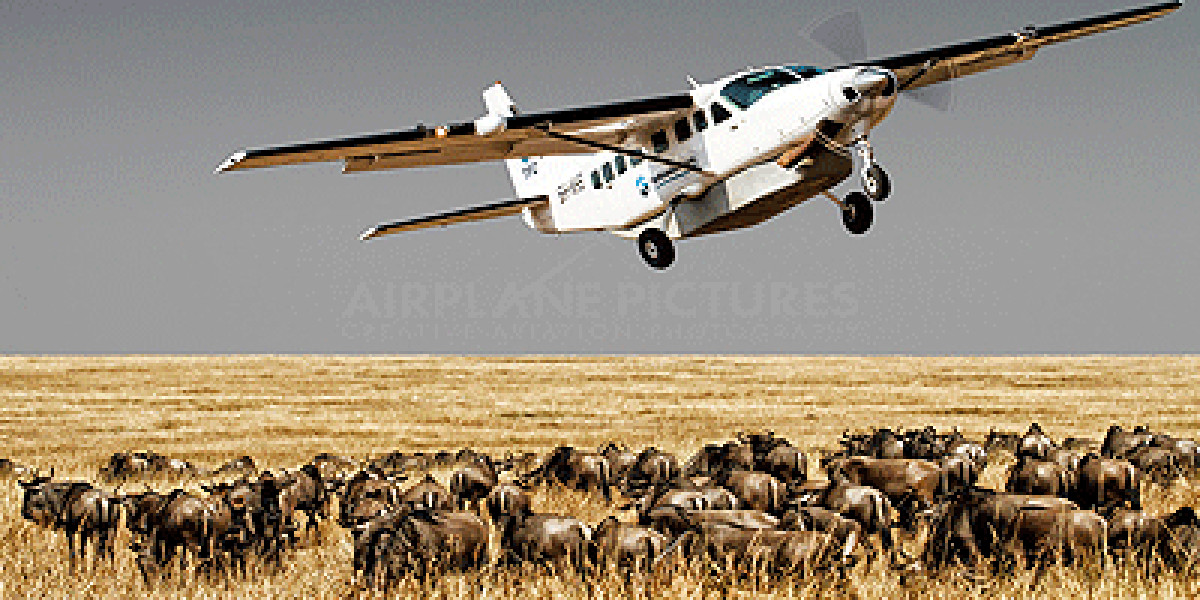Zanzibar Airport Guide: Simple Arrival and Smooth Island Transfers