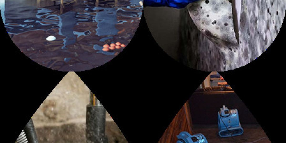 Sydney Emergency Water Removal Services: Restore Your Property Quickly